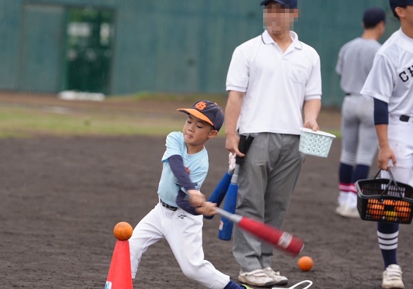 きっずボールパーク
